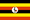 Flag of UGA